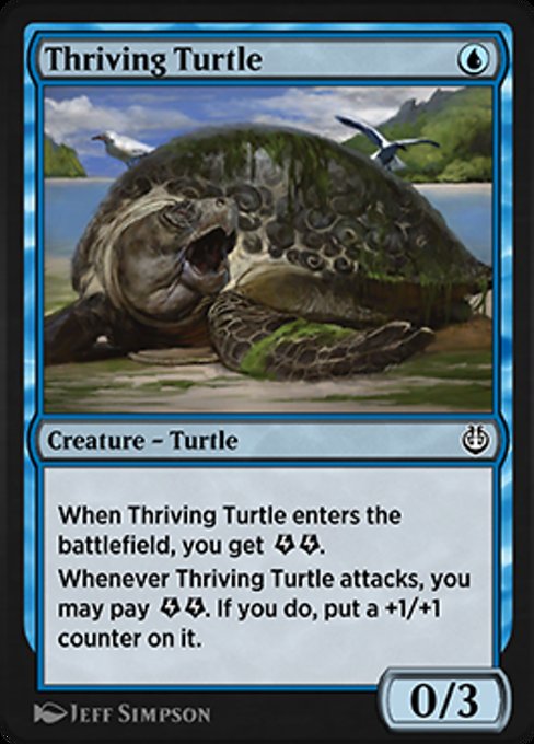 Thriving Turtle